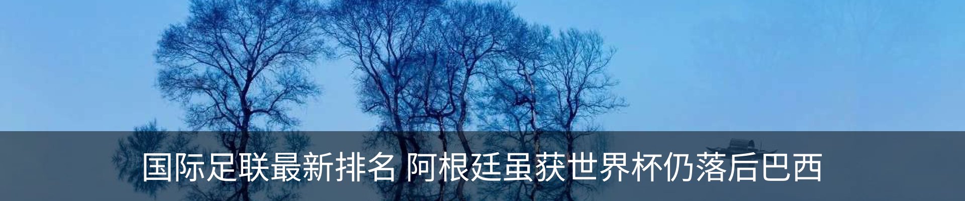 新闻动态
