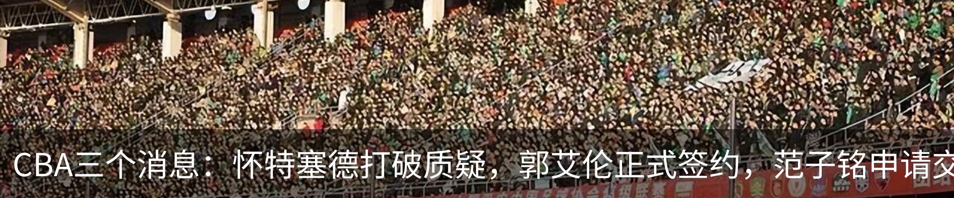 新闻动态