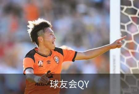 关于球友会QY