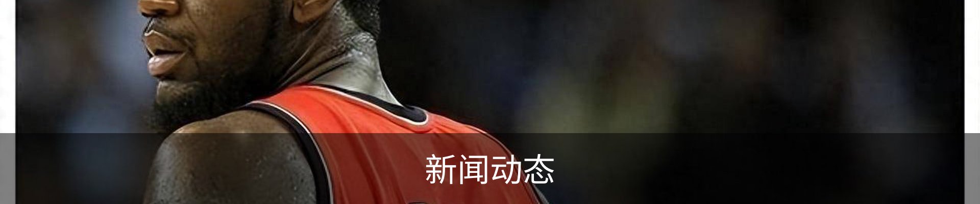 新闻动态