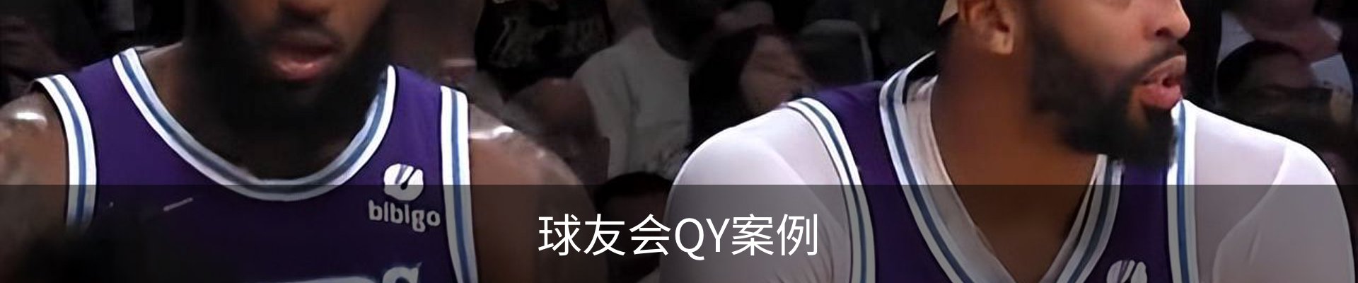 球友会QY案例